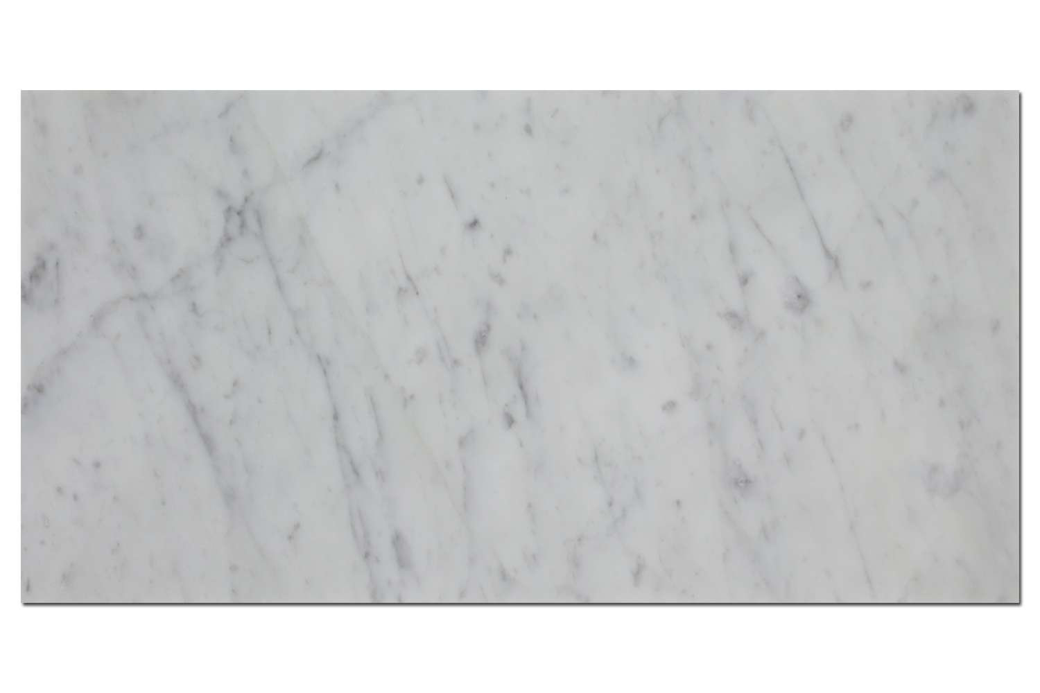 18x18 Carrara Polished & Eased